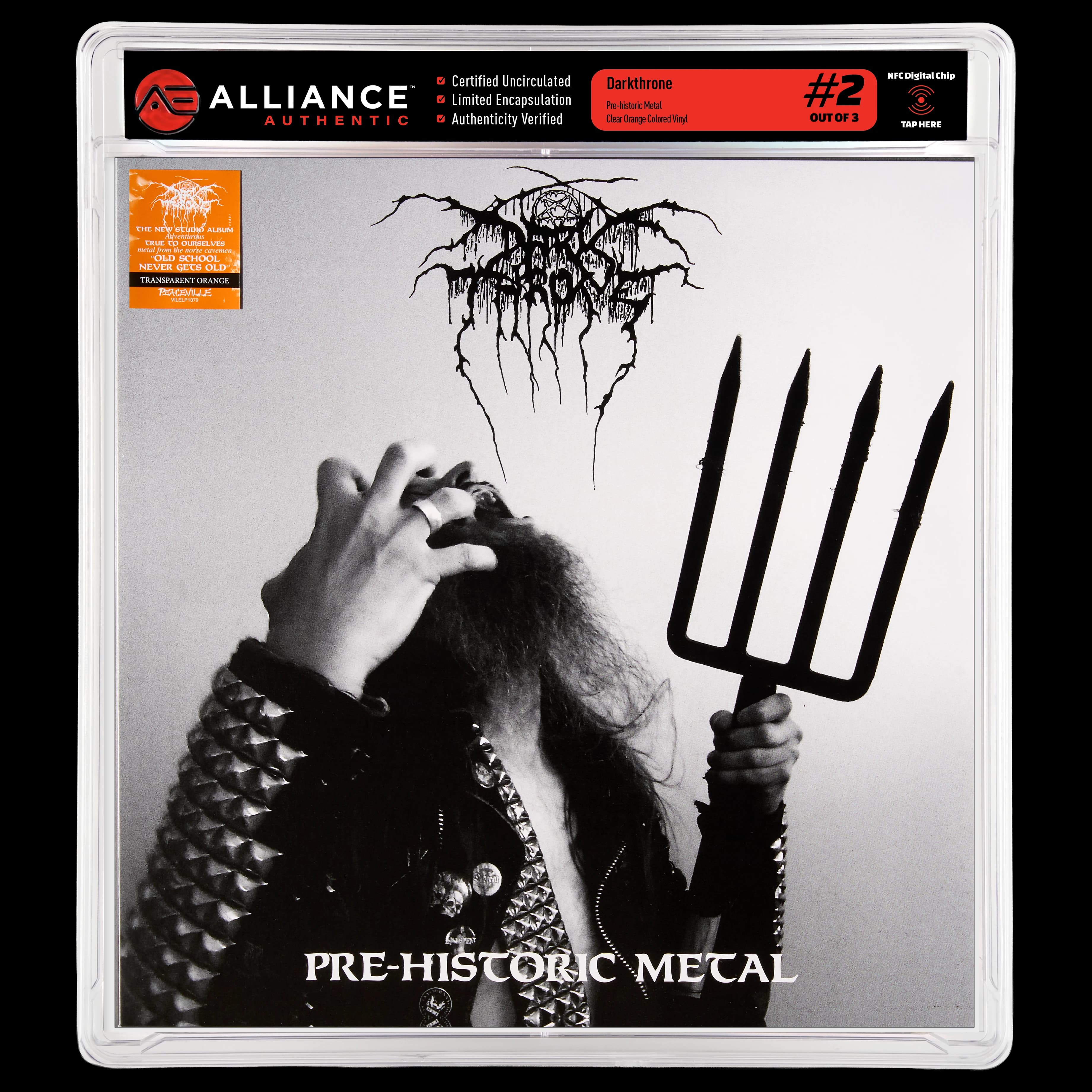 Front image of "Pre-historic Metal" #2
